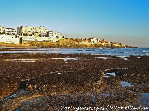 Praia da Parede na maré baixa, com rochas expostas e casas sobre a arriba ao fundo