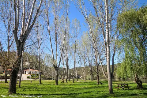 Parque fluvial de Cambas com relvado, mesas de piquenique, choupos e rio ao fundo