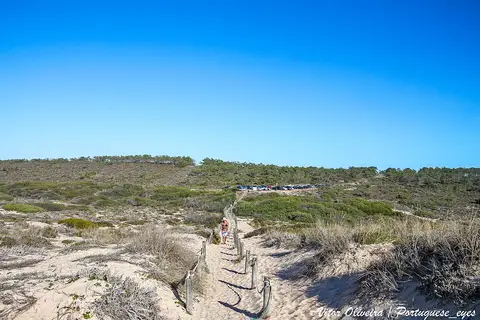 Caminho de areia com vedação de madeira entre dunas com vegetação, a caminho da praia do Monte Velho