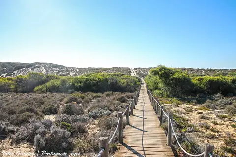 Passadiço de madeira sobre dunas com vegetação rasteira a caminho da praia do Monte Velho