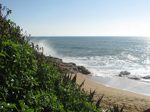 Praia dos Aveiros, em Albufeira, com areal, rochas e vegetação junto ao mar