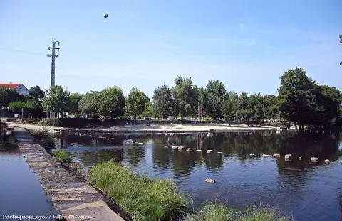 Praia fluvial junto ao rio Mondego, com areal, pedras na água e árvores na margem