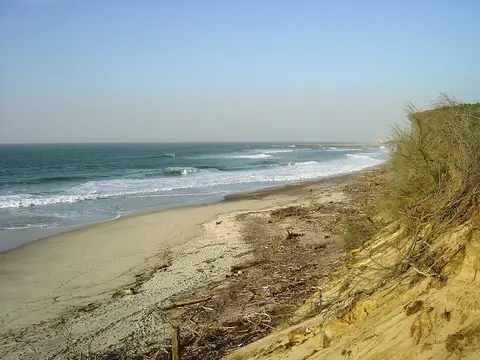 Praia de areia com ondas e arriba com vegetação em São Pedro de Maceda