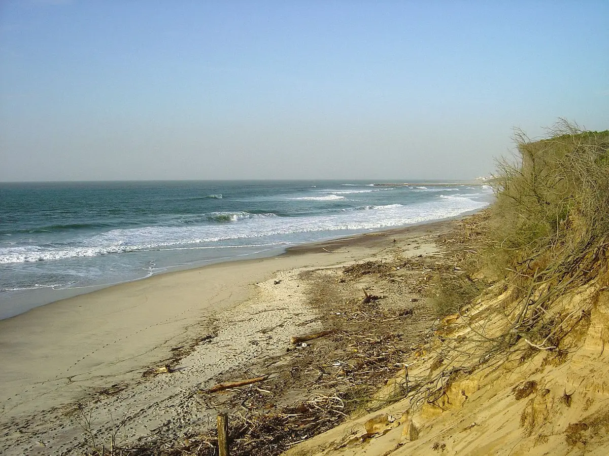 Praia de areia com ondas e arriba com vegetação em São Pedro de Maceda