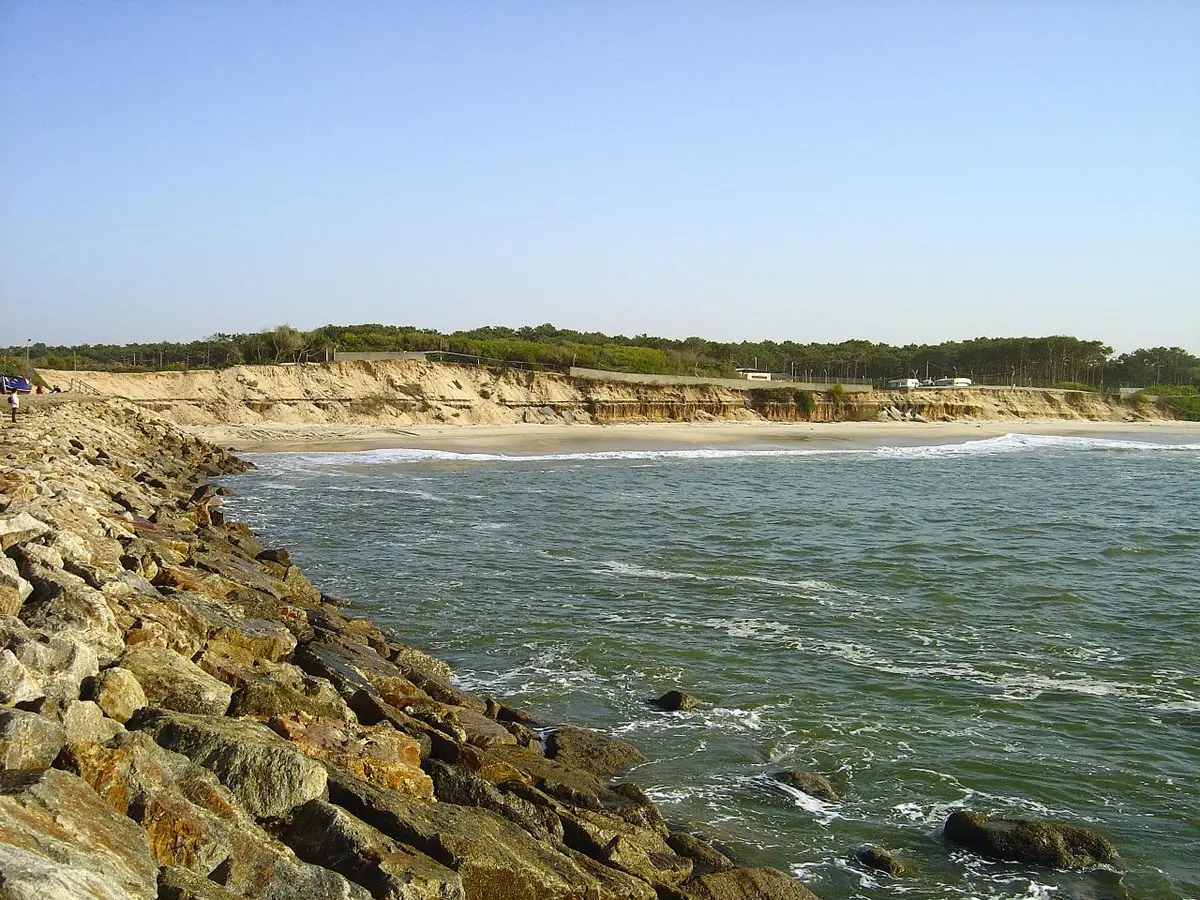 Praia de Cortegaça vista do molhe de rochas, com dunas e pinhal ao fundo