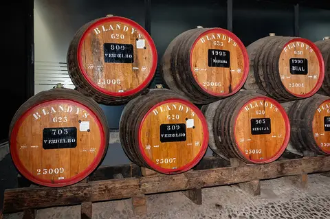 Pilha de barris de vinho Madeira da Blandy's, com aros vermelhos e inscrições, na adega do Funchal