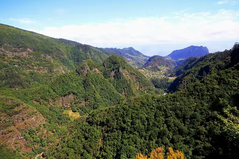 Vista do miradouro dos Balcões sobre vales cobertos de floresta laurissilva, na Madeira