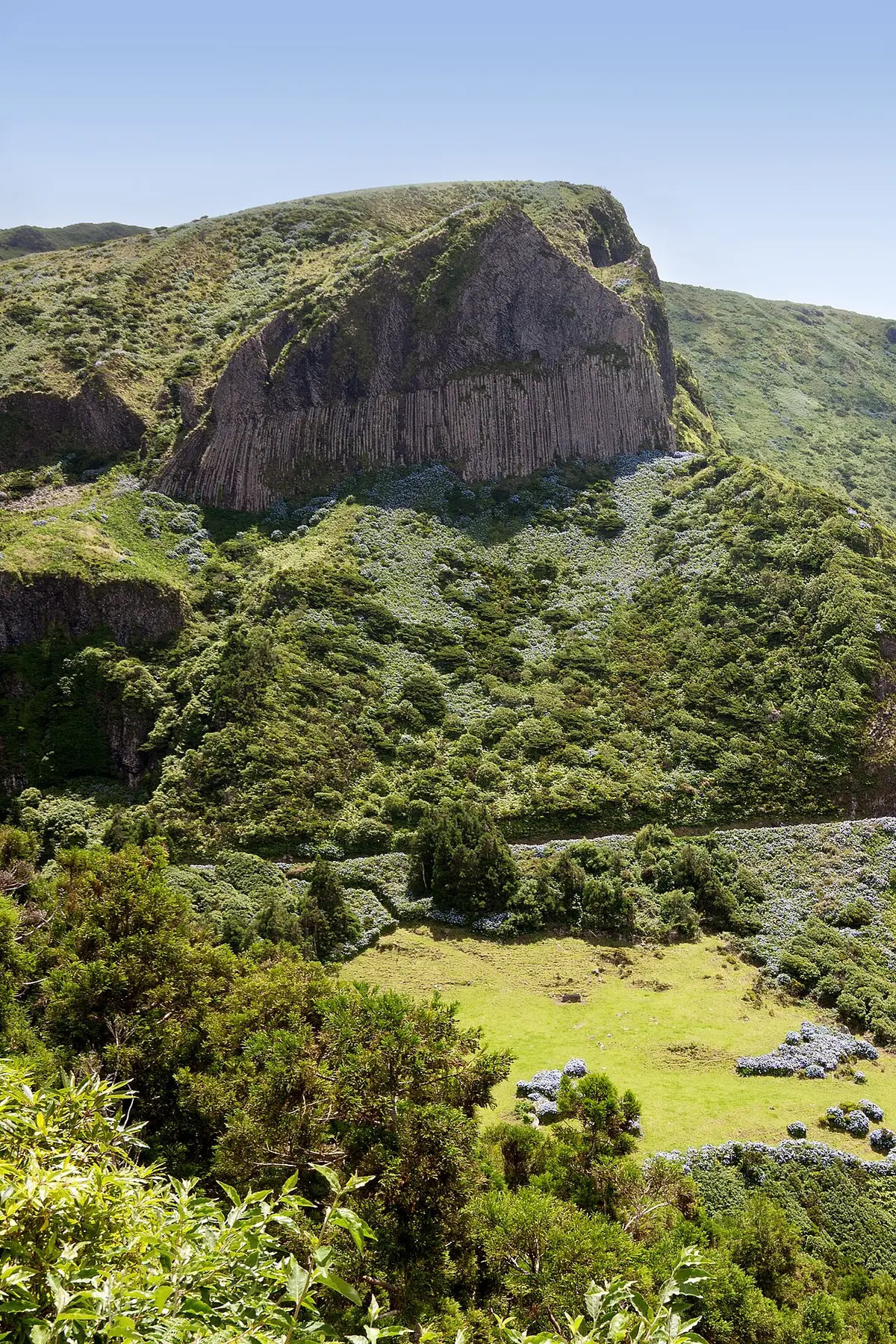 Rocha dos Bordões, formação de colunas basálticas rodeada de vegetação verde, na ilha das Flores