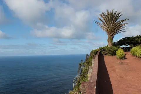 Miradouro com muro de pedra e palmeira sobre falésia, com vista ampla para o oceano