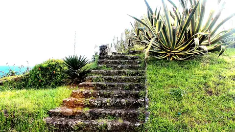 Escadaria de pedra entre relva e agaves no miradouro, com o mar ao fundo