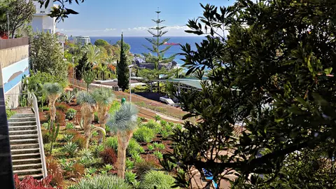 Jardim Panorâmico no Funchal com plantas suculentas, escadaria e vista para o mar