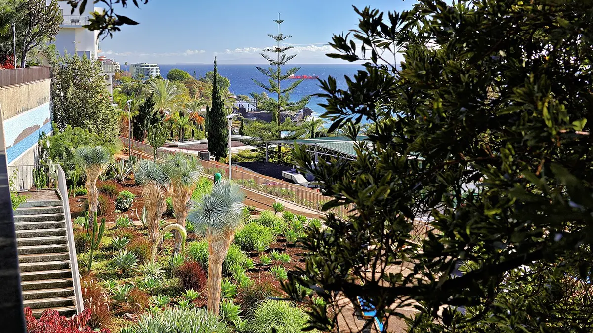 Jardim Panorâmico no Funchal com plantas suculentas, escadaria e vista para o mar