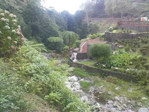 Ribeira rodeada de vegetação luxuriante, fetos arbóreos e muros de pedra no Parque dos Caldeirões
