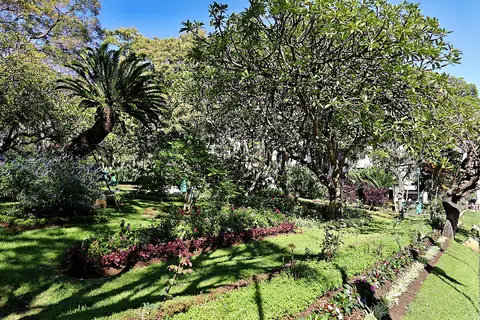 Jardim Municipal do Funchal com relvados, canteiros floridos e árvores tropicais sob céu azul