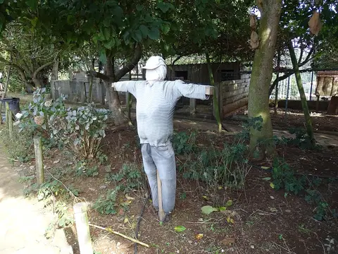 Espantalho vestido com camisola às riscas e calças de ganga num canteiro da quinta pedagógica