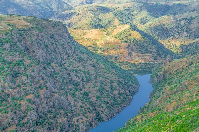 Vista das arribas do rio Douro, com encostas verdes e socalcos, a partir de um miradouro