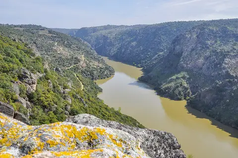 Vista do miradouro da Freixiosa sobre o vale encaixado do rio Douro, com encostas rochosas e vegetação