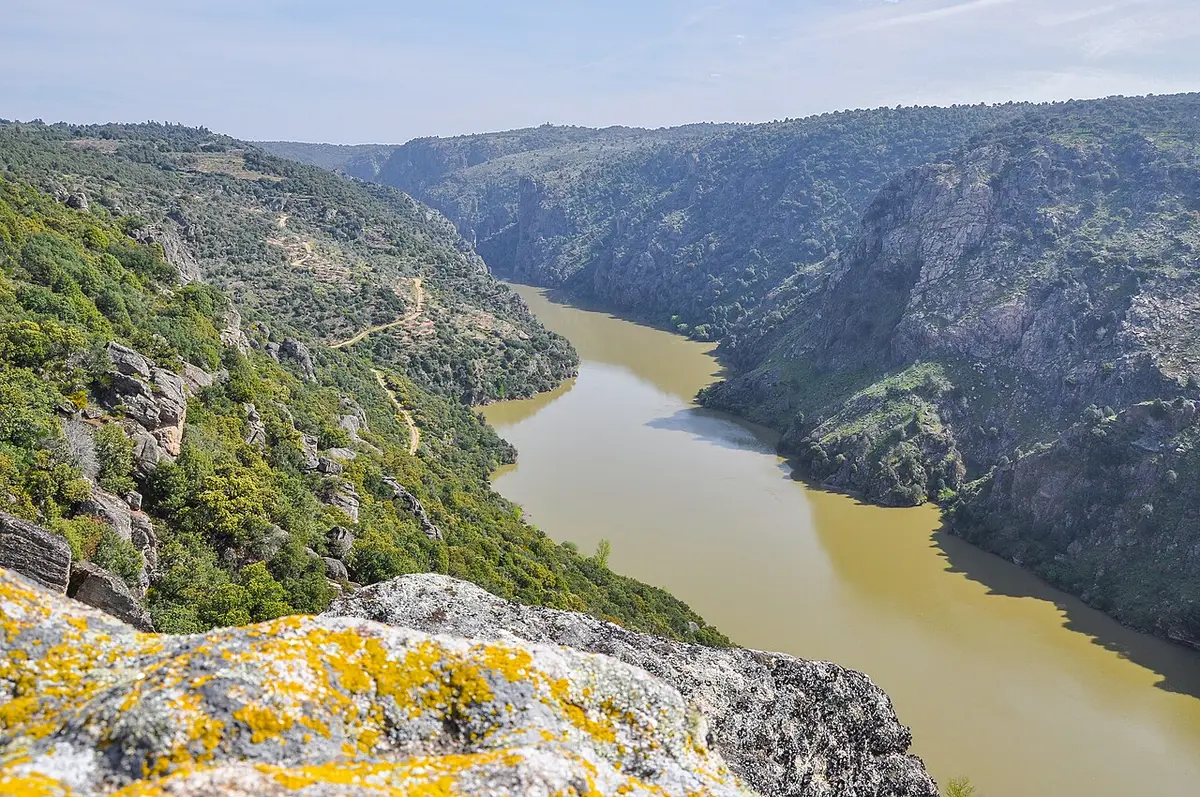 Vista do miradouro da Freixiosa sobre o vale encaixado do rio Douro, com encostas rochosas e vegetação