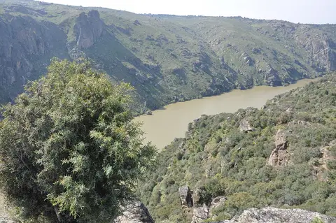 Vista do rio Douro encaixado entre encostas rochosas e verdes, a partir do miradouro da Freixiosa