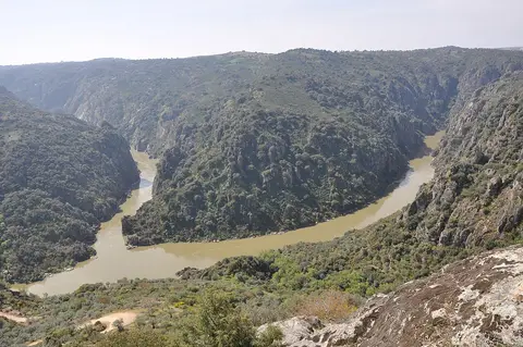Vista do miradouro da Fraga do Puio sobre a curva do rio Douro entre encostas rochosas