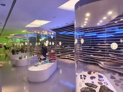 Sala de exposição do Museu de História Natural com vitrinas curvas e fósseis em prateleiras iluminadas a azul