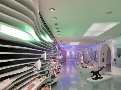 Sala de exposição do Museu de História Natural com fósseis em prateleiras e réplica de dinossauro