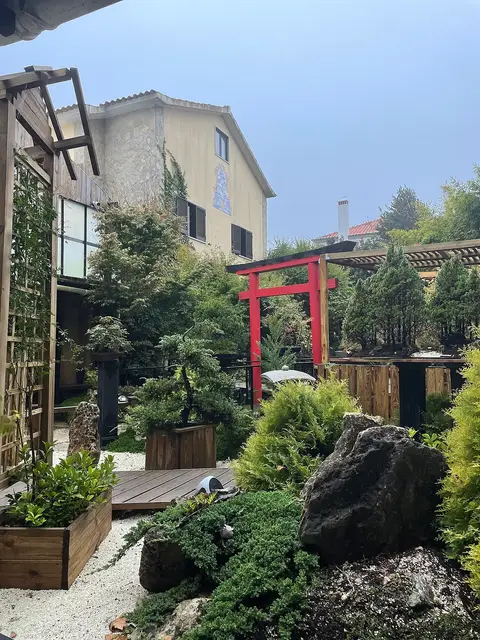 Jardim japonês do Museu do Bonsai com torii vermelho, bonsais em vasos e rochas ornamentais