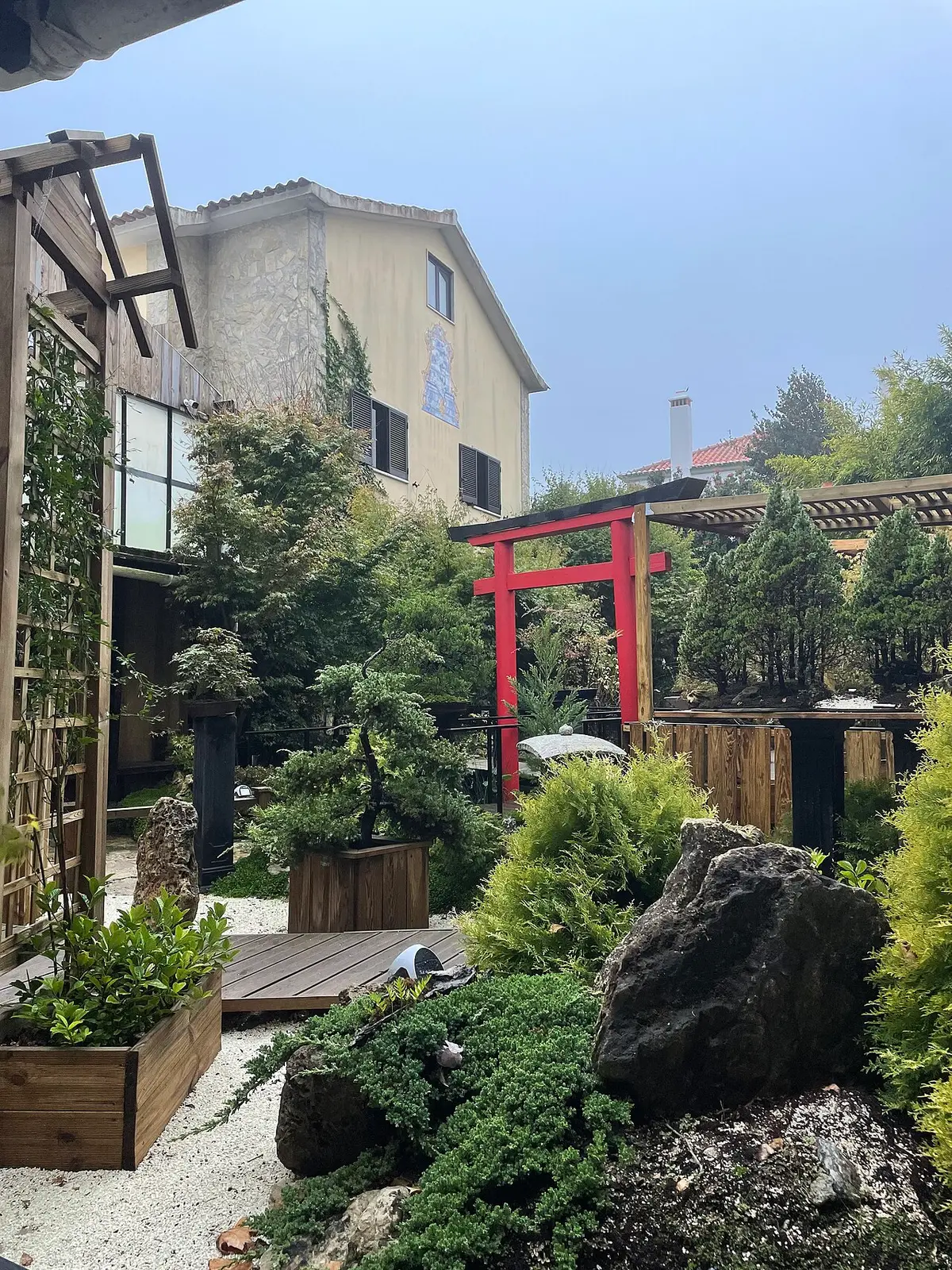Jardim japonês do Museu do Bonsai com torii vermelho, bonsais em vasos e rochas ornamentais