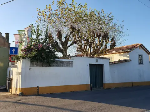 Muro branco e portão verde da Casa-Museu Leal da Câmara, com letreiro e árvores ao fundo