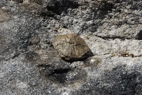 Pormenor de rocha granítica com nódulo biotítico saliente, característico das pedras parideiras