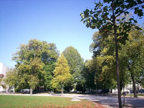 Jardim com relva, árvores e caminho de terra na Rotunda da Boavista, no Porto, em dia de céu limpo