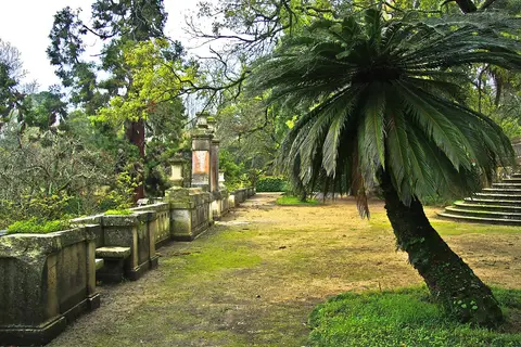 Alameda de jardim histórico com cicadácea, muretes de pedra e escadaria entre árvores