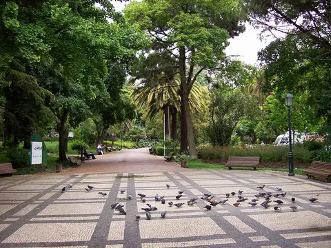 Alameda do Jardim da Estrela com calçada portuguesa, pombos, bancos e árvores frondosas