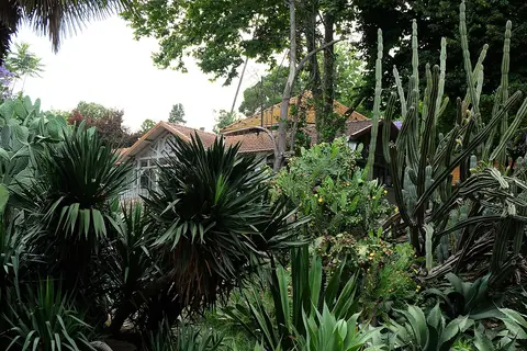 Canteiro de cactos e plantas suculentas junto a casa de telhado vermelho no Jardim da Estrela