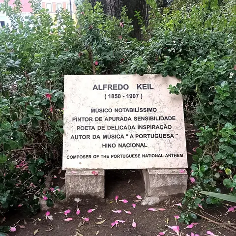 Placa comemorativa de Alfredo Keil em pedra, rodeada de arbustos e pétalas cor-de-rosa no jardim
