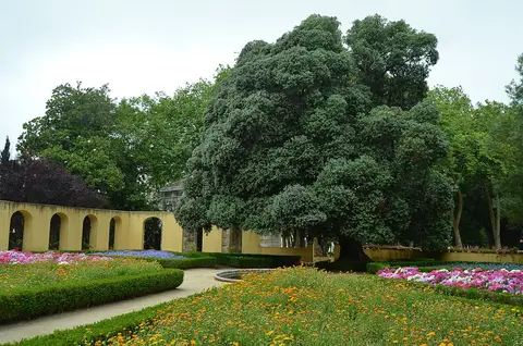 Jardim com canteiros de flores, sebes baixas, arcadas amarelas e uma grande árvore frondosa
