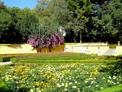 Canteiros de flores amarelas e sebes aparadas junto a muro amarelo com buganvília no Jardim do Cerco