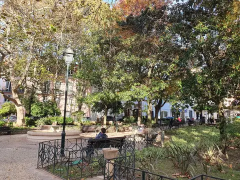 Jardim Fialho de Almeida em Lisboa, com árvores frondosas, bancos, candeeiro e fonte junto aos prédios.