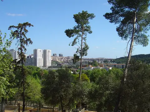 Vista arborizada do Jardim Zoológico de Lisboa com prédios da cidade ao fundo
