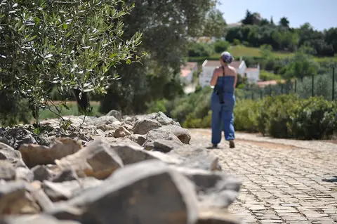 Caminho empedrado ladeado de pedras e oliveira nos Monumentos Megalíticos de Alcalar, com visitante de costas