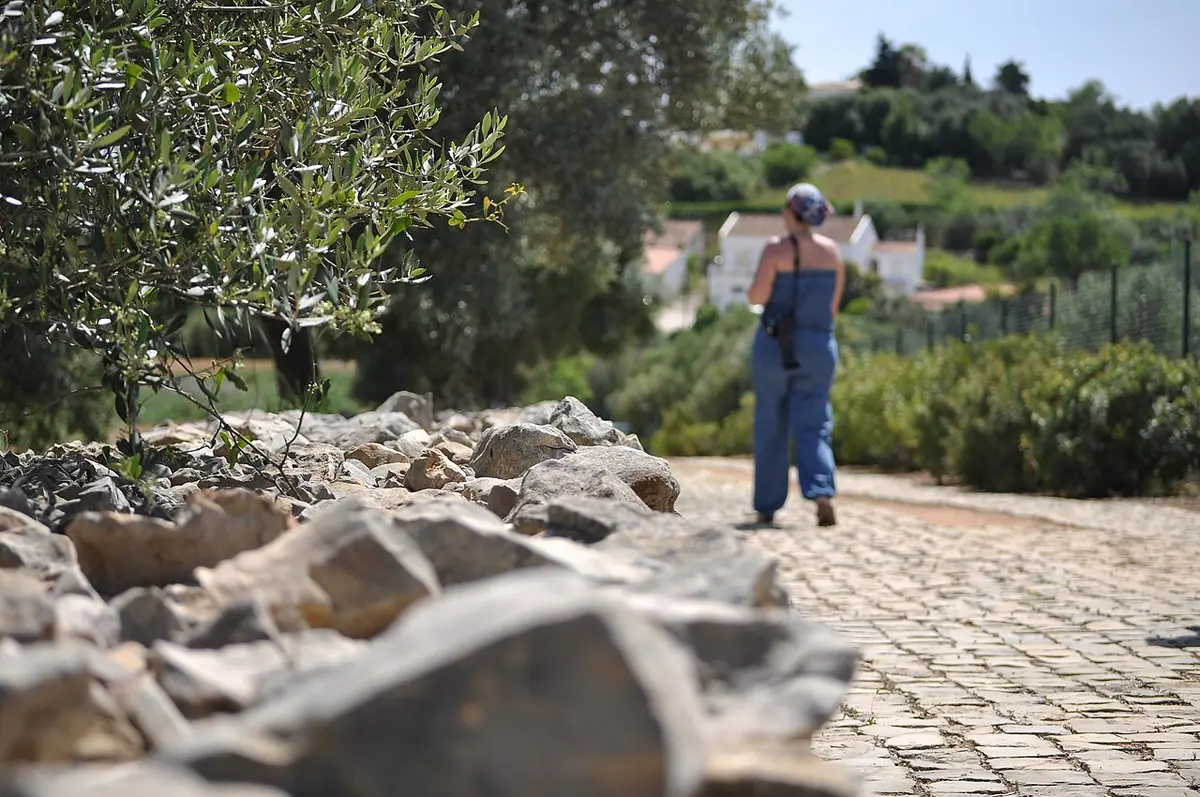 Caminho empedrado ladeado de pedras e oliveira nos Monumentos Megalíticos de Alcalar, com visitante de costas