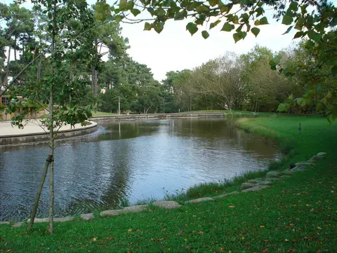 Lago do Parque da Pasteleira rodeado de relva e árvores