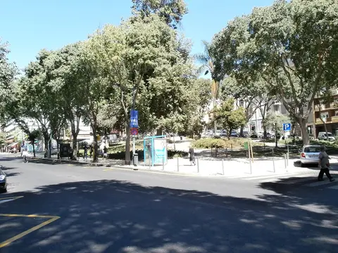 Jardim Cesário Verde visto da rua, com árvores frondosas e passeio junto a edifícios