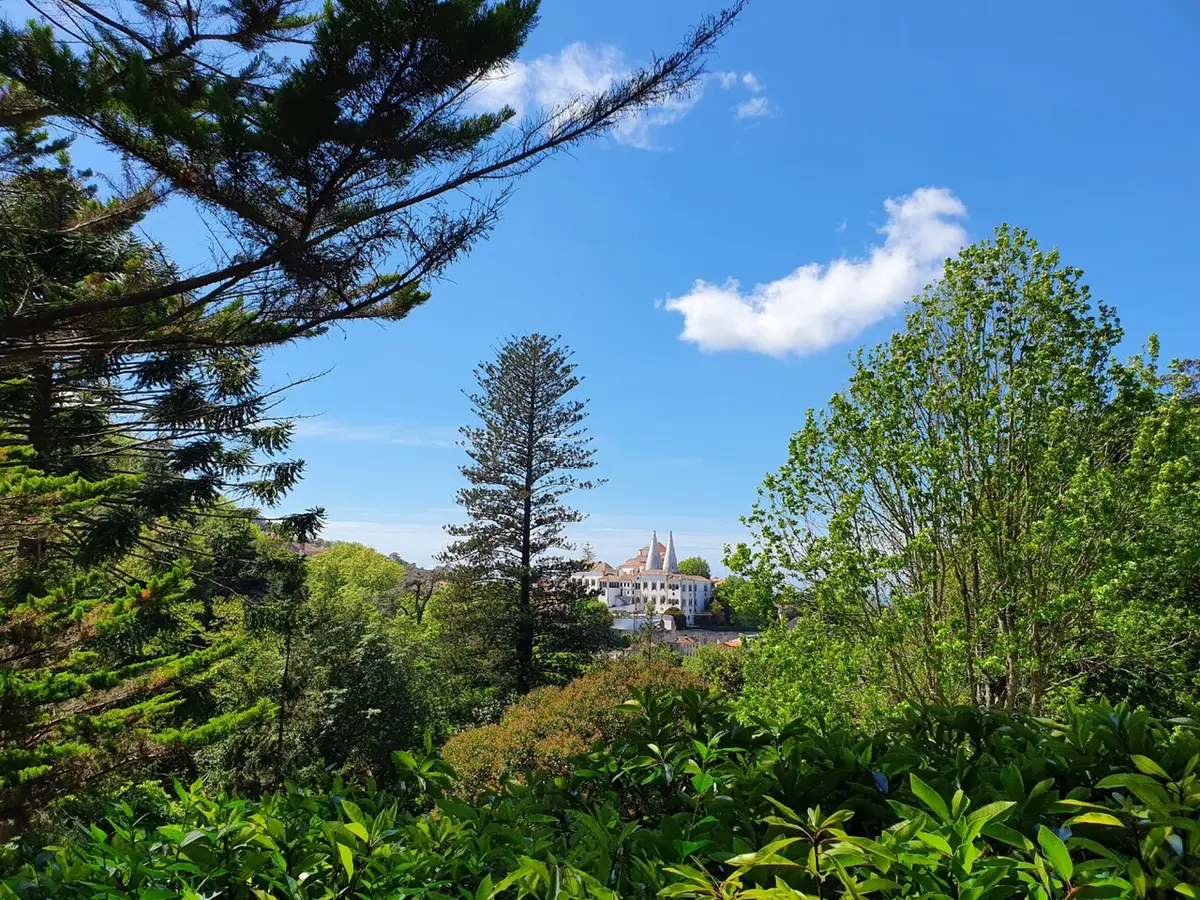 Vegetação do Parque da Liberdade em Sintra com vista para o Palácio Nacional ao fundo