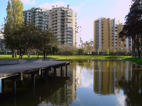 Lago do parque com deque de madeira, relvado e árvores, com prédios ao fundo