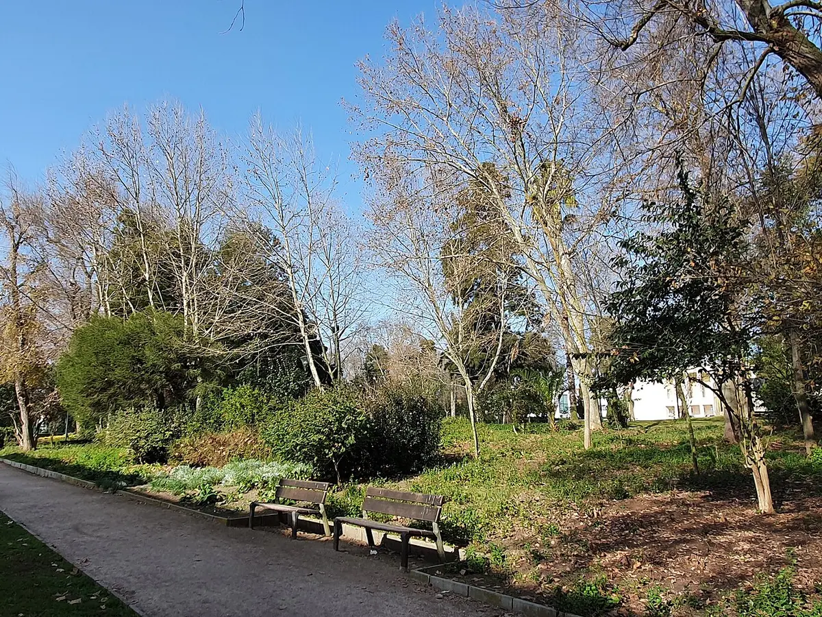 Bancos de madeira junto a um caminho no parque municipal, com árvores e vegetação sob céu azul