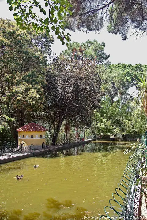 Lago com patos e casinha amarela de telhado vermelho, rodeado de árvores, no Parque Silva Porto