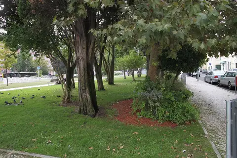 Jardim urbano com relvado, árvores de grande porte, pombos e passeio calçado junto à rua.