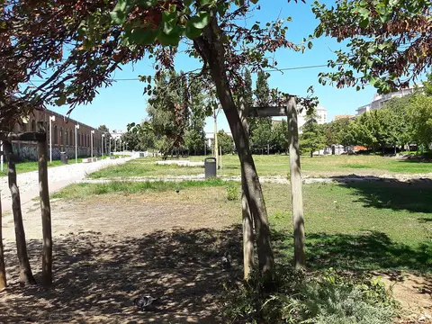 Zona relvada e arborizada do Jardim do Arco do Cego, com sombra de árvores e edifícios ao fundo