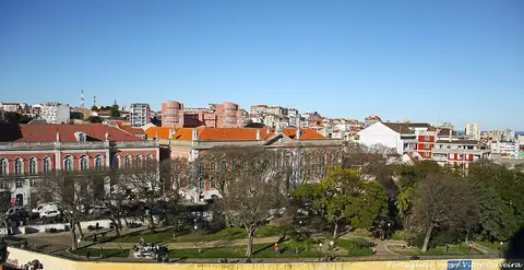 Vista panorâmica do Jardim Botto Machado, no Campo de Santa Clara, com árvores e edifícios de Lisboa ao fundo